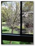 View from Bedroom