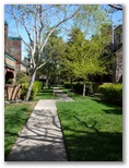 Walking Path